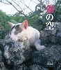 猫の空