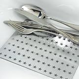 Produkt-Bild: Silverstar Reinigungsplatte