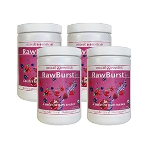 RawBurst Organic Fruit Berry Drink (4 Pack)