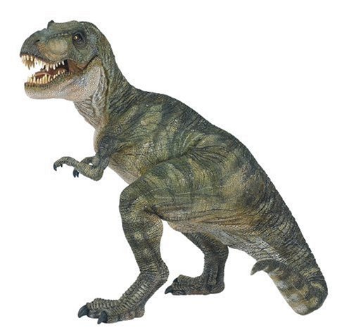 Childrens Toyshop  Toys : Tyrannosaurus