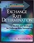 Exchange Rate Determination (Irwin Library of Investment & Finance.)