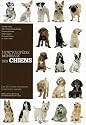 L'Encyclopédie mondiale des chiens : Les 331 races reconnues à travers le monde