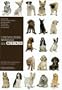 L'Encyclop�die mondiale des chiens : Les 331 races reconnues � travers le monde