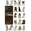 L'Encyclop�die mondiale des chiens : Les 331 races reconnues � travers le monde