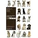 L'Encyclop�die mondiale des chiens : Les 331 races reconnues � travers le monde