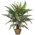 BUY : Silk Leather Fern Plant in Green