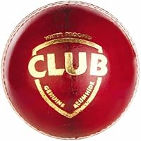 SG Club Leather Ball