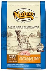 The Nutro Company Young Adult Large Breed Dog Food with Chicken, Whole Brown Rice and Oatmeal Formula, 30-Pound The Nutro Company Young Adult Large Breed Dog Food with Chicken, Whole Brown Rice and Oatmeal Formula, 30-Pound