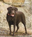 Labrador Retrievers, Chocolate 2008 Hardcover Weekly Engagement: Wkly Eng