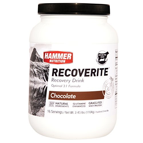Hammer RECOVERITE (16 servings) - Chocolate