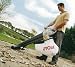 Ryobi 2400w Electric Garden Blower/Vac 240v