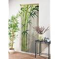 Bambusvorhang T�rvorhang Motiv Bamboo