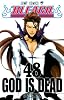 BLEACH―ブリーチ― 48 (ジャンプコミックス)