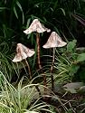 Metallic Mushrooms - 3 set - Copper Speckle