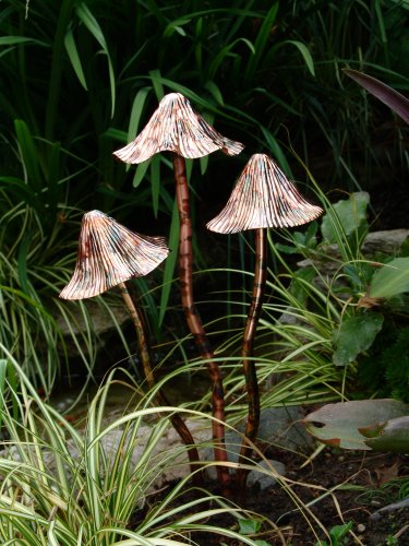 Metallic Mushrooms - 3 set - Copper Speckle