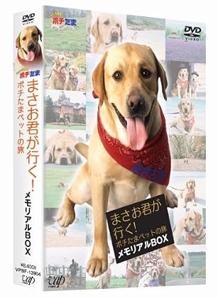 訃報】 「ポチたま」のだいすけくん死亡 - ゴールデンタイムズ