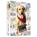 �܂����N���s��!�|�`���܃y�b�g�̗� �������A���{�b�N�X [DVD]