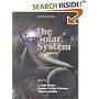 The New Solar System