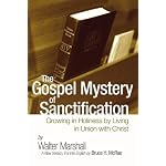 The Gospel Mystery of Sanctification: Growing in Holiness by Living in Union with Christ book cover