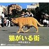 猫がいる街 世界の国から