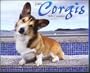 Just Corgis