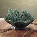 Kitchen & Housewares : Frogs Water Fountains