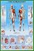 Human Body Education Poster Print, 24x36