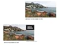 Rodenstock 77mm Digital Pro MC UV Blocking Filter #507711