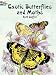 Exotic Butterflies and Moths (Dover Pictorial Archive Series)