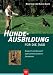 Hundeausbildung für die Jagd: Schritt für Schritt zum zuverlässigen Jagdhund Hundeausbildung für die Jagd: Schritt für Schritt zum zuverlässigen Jagdhund