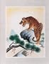 Asian "Tiger on the Mountain" Silk Screen Print