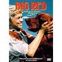 Big Red