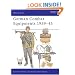 German Combat Equipment, 1939-45 (Men-at-arms)
