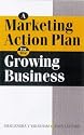 A Marketing Action Plan for the Growing Business