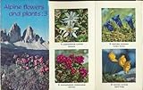 Alpine flowers and plants. 3; [with text by Oleg Polunin]