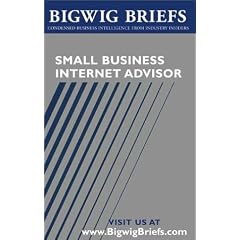 Bigwig Briefs: Small Business Internet Advisor - Industry Reveal the Secrets to Internet Marketing, Bizdev, Hr, Financing, Ecommerce, and Other Important Topics