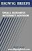 Book Bigwig Briefs:  Small Business Internet Advisor - Industry Reveal the Secrets to Internet Marketing, Bizdev, Hr, Financing, Ecommerce, and Other Impor