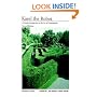 Karel The Robot: A Gentle Introduction to the Art of Programming