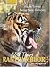 Wild Tigers of Ranthambore (Oxford India Collection) by Valmik Thapar