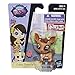Littlest Pet Shop B0987000 Single Pet Gracie Plainville Novelty