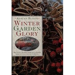 Winter Garden Glory