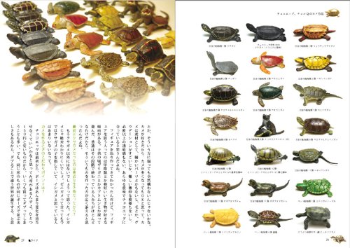 カメが好き! かめ亀KAME図鑑 (P‐Vine BOOKs)