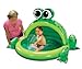 Hoppy Frog Spray Pool