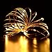 Copper Wire Lights Strings, LTROP 16ft 50 LED Battery Powered Starry String Lights, Ambiance Lighting Décor Rope Light for Outdoor, Garden, Home, Party, Christmas (Battery Not Included)- Warm White