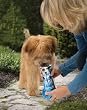 Wetbone Water to Go - Dog Water and Bowl in Resealable Packaging - One 16 fl. oz. Bone Shaped Package