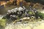 Unimax Forces of Valor 1:32 Scale German 716th Infantry Division D-Day Series