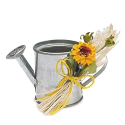 Miniature Watering Cans