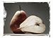 Sacred Nourishment: The Art of Eating Mindfully