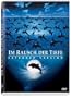 The Big Blue [Region 2]