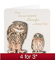 Wise Owl Grandpa Fathers Day Card